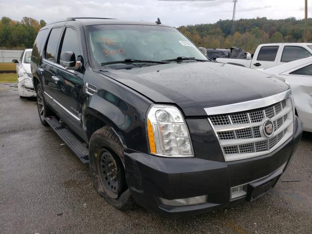 CADILLAC ESCALADE P 2011 1gys4def9br234020