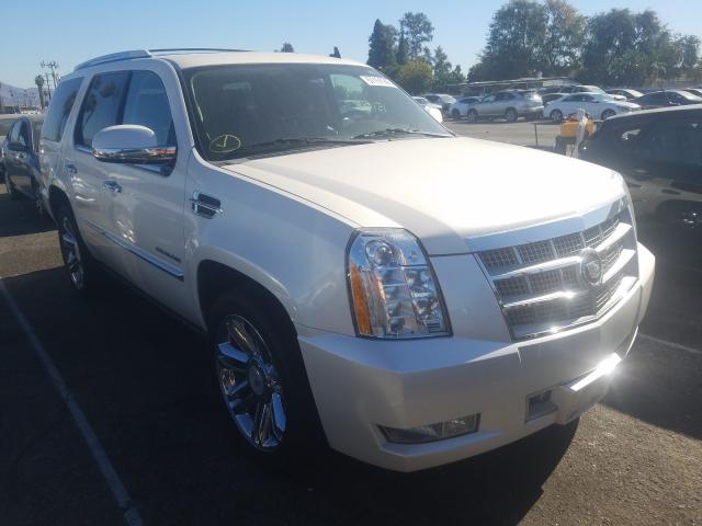 CADILLAC ESCALADE P 2011 1gys4def9br315129