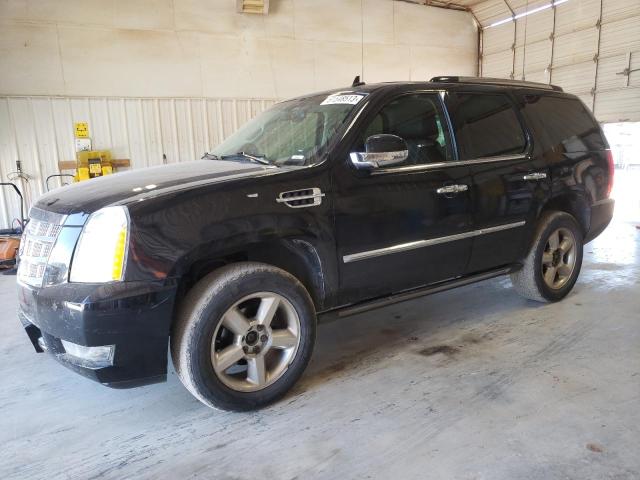 CADILLAC ESCALADE P 2011 1gys4def9br321819