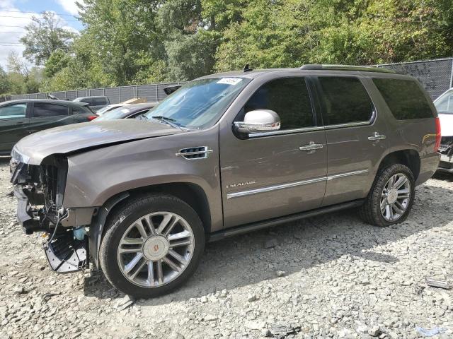 CADILLAC ESCALADE P 2014 1gys4def9er240789