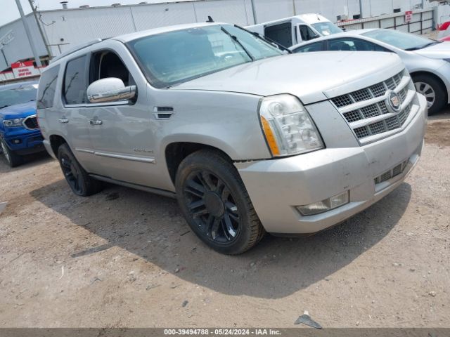 CADILLAC ESCALADE 2011 1gys4defxbr100052