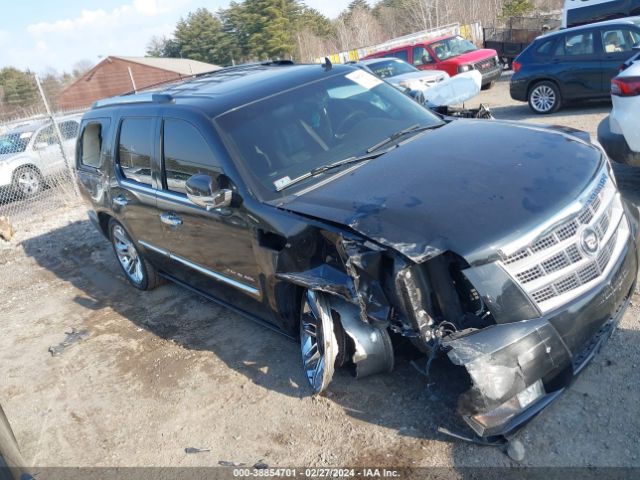 CADILLAC ESCALADE 2011 1gys4defxbr306956