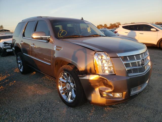 CADILLAC ESCALADE P 2011 1gys4defxbr359527