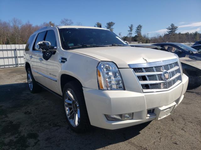 CADILLAC ESCALADE P 2011 1gys4defxbr376974