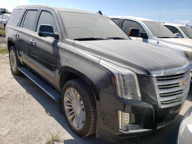 CADILLAC ESCALADE P 2016 1gys4dkj0gr195169