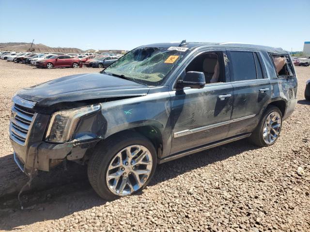 CADILLAC ESCALADE P 2019 1gys4dkj0kr307851