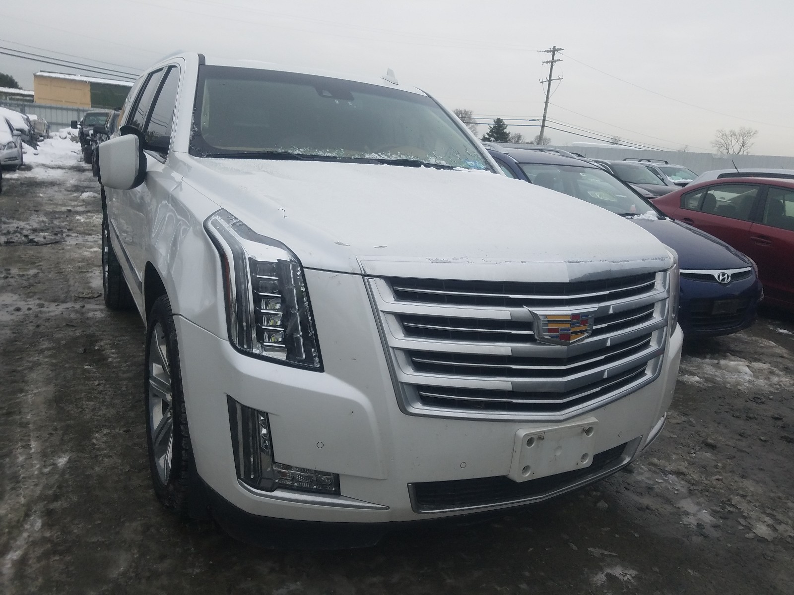 CADILLAC ESCALADE P 2016 1gys4dkj1gr293403