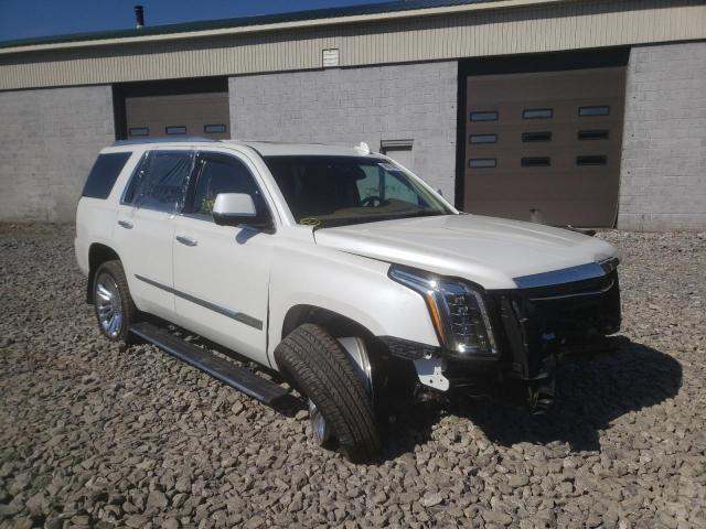 CADILLAC ESCALADE P 2016 1gys4dkj1gr351879