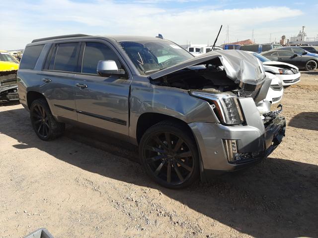 CADILLAC ESCALADE P 2019 1gys4dkj1kr315117