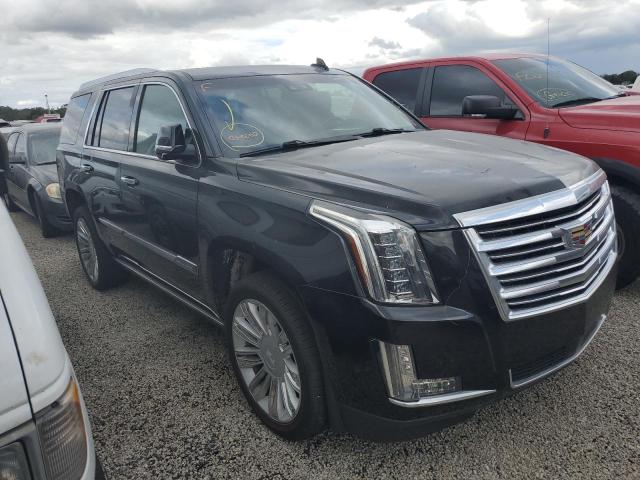 CADILLAC ESCALADE P 2020 1gys4dkj1lr168749