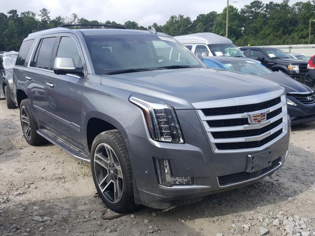 CADILLAC ESCALADE P 2019 1gys4dkj1lr231008