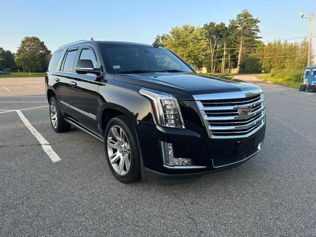 CADILLAC ESCALADE P 2016 1gys4dkj2gr251337