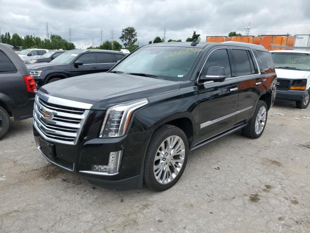 CADILLAC ESCALADE P 2016 1gys4dkj2gr269854