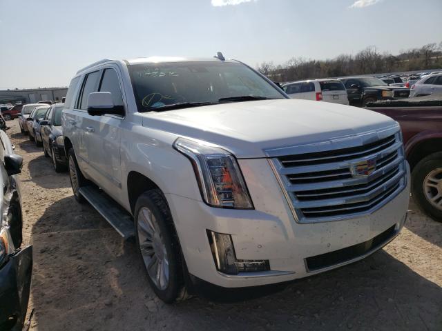 CADILLAC ESCALADE P 2019 1gys4dkj2kr178575