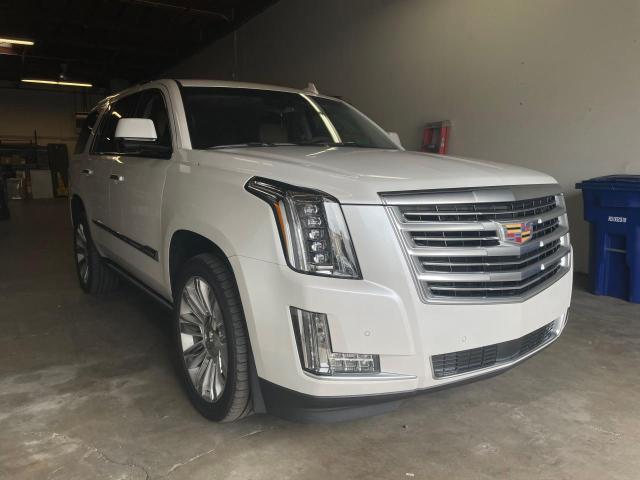 CADILLAC ESCALADE P 2016 1gys4dkj3gr210800