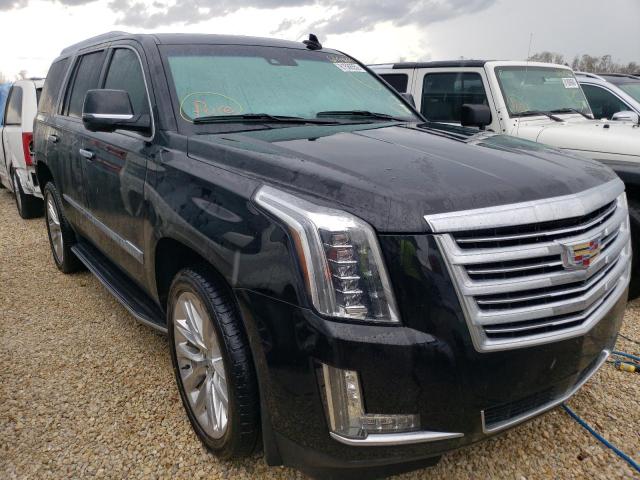 CADILLAC ESCALADE P 2016 1gys4dkj4gr266227