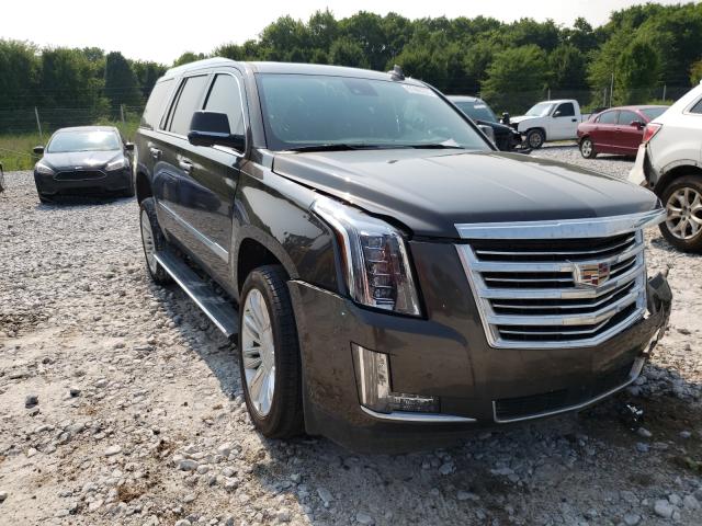 CADILLAC ESCALADE P 2020 1gys4dkj4lr200822