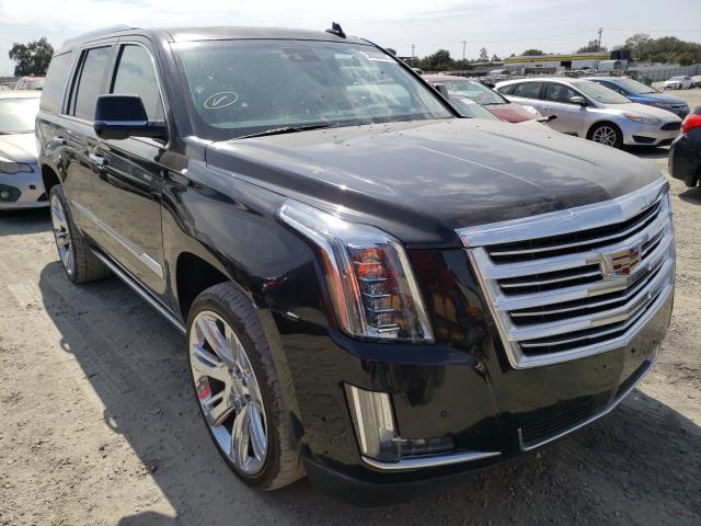 CADILLAC ESCALADE P 2017 1gys4dkj5hr259899