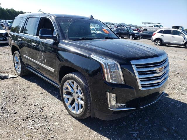 CADILLAC ESCALADE P 2016 1gys4dkj6gr254435