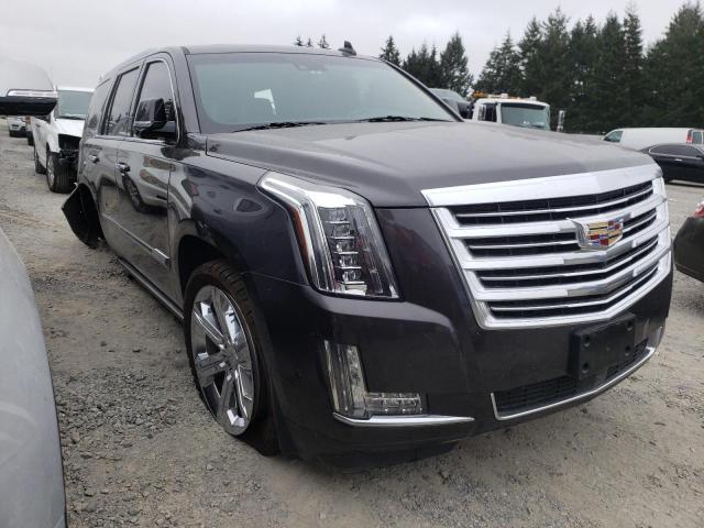 CADILLAC ESCALADE P 2017 1gys4dkj6hr251827