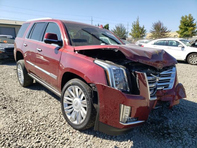 CADILLAC ESCALADE P 2018 1gys4dkj6jr188394