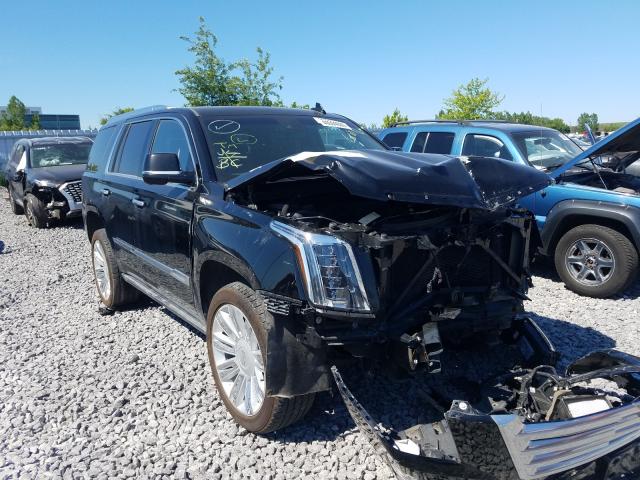 CADILLAC ESCALADE P 2019 1gys4dkj6kr110747