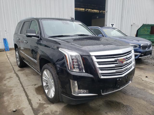 CADILLAC ESCALADE P 2020 1gys4dkj7lr272291