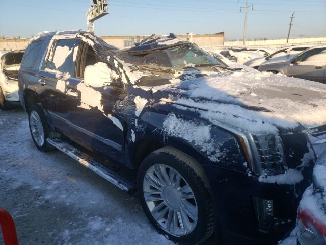 CADILLAC ESCALADE P 2017 1gys4dkj8hr209286