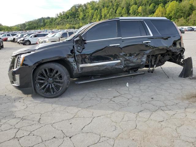 CADILLAC ESCALADE P 2016 1gys4dkj9gr471431