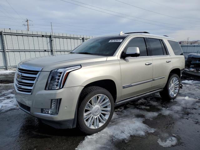 CADILLAC ESCALADE P 2017 1gys4dkj9hr233676