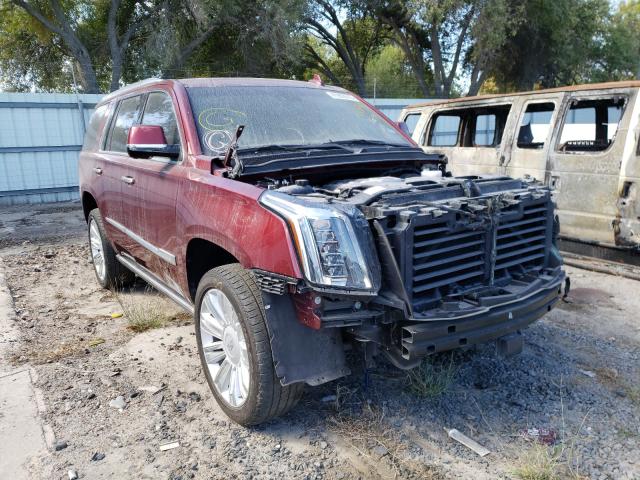 CADILLAC ESCALADE P 2019 1gys4dkj9kr266135