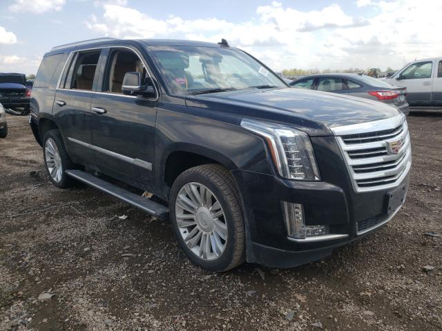 CADILLAC ESCALADE P 2016 1gys4dkjxgr165192