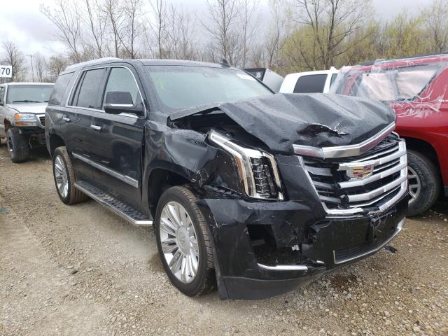 CADILLAC ESCALADE P 2016 1gys4dkjxgr184650