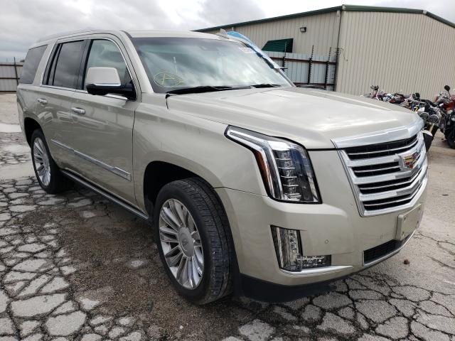 CADILLAC ESCALADE P 2016 1gys4dkjxgr340878