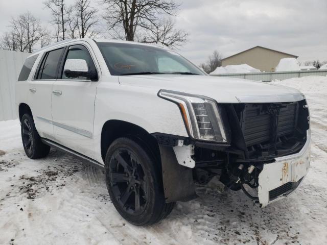 CADILLAC ESCALADE P 2019 1gys4dkjxkr184186