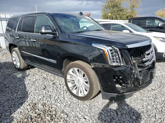 CADILLAC ESCALADE P 2019 1gys4dkjxkr219731