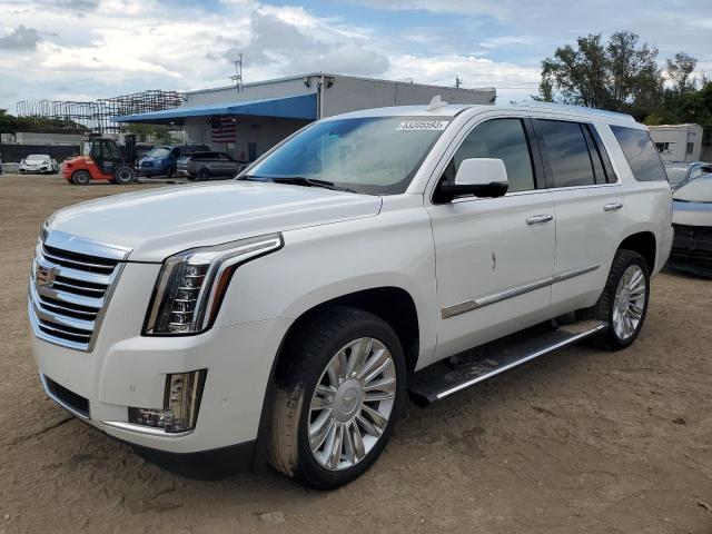 CADILLAC ESCALADE P 2020 1gys4dkjxlr265965