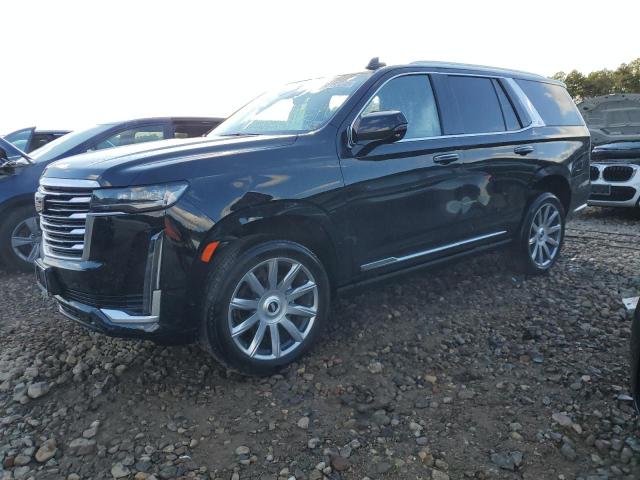 CADILLAC ESCALADE 2022 1gys4dkl2nr184219