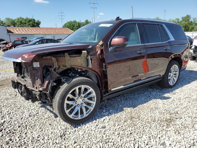 CADILLAC ESCALADE P 2022 1gys4dkl5nr140781