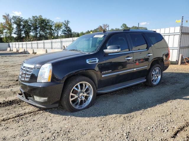 CADILLAC ESCALADE H 2011 1gys4eej3br111534