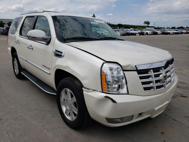 CADILLAC ESCALADE H 2011 1gys4eej4br196013