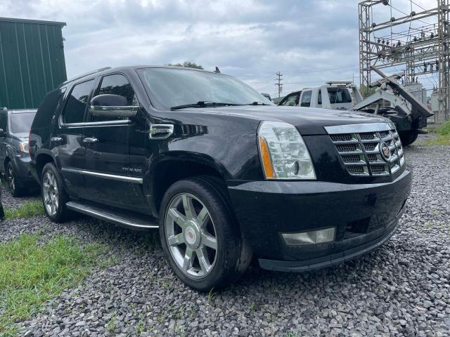 CADILLAC ESCALADE 2013 1gys4eej4dr107446