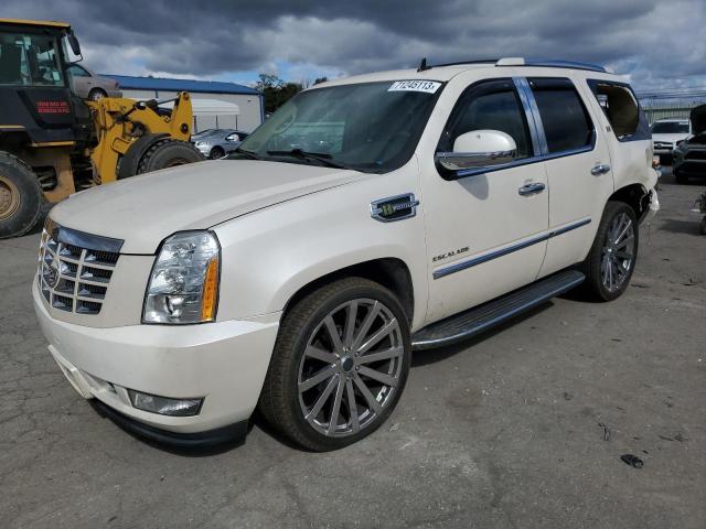 CADILLAC ESCALADE 2011 1gys4eej6br326163