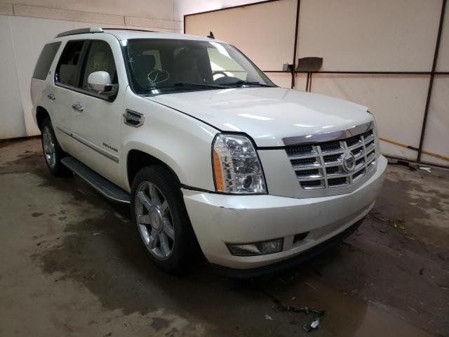 CADILLAC ESCALADE H 2011 1gys4eej8br233340