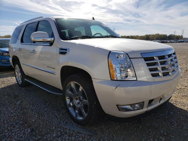 CADILLAC ESCALADE H 2013 1gys4eej8dr310629