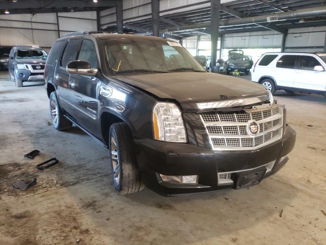 CADILLAC ESCALADE P 2012 1gys4fej2cr225726