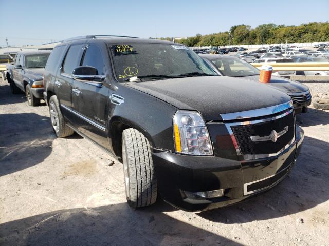 CADILLAC ESCALADE P 2013 1gys4fej2dr111419