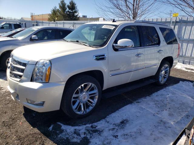 CADILLAC ESCALADE P 2013 1gys4fej2dr155663