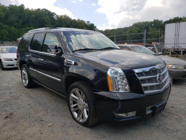 CADILLAC ESCALADE P 2011 1gys4fej3br279213