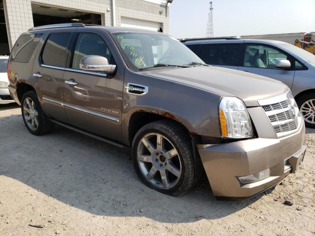 CADILLAC ESCALADE P 2011 1gys4fej3br322416